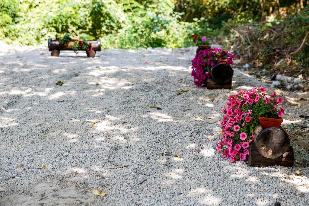 Villa Drecheva Ognyanovo  Bagian luar foto